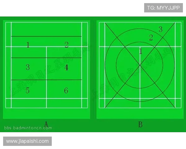 杭州羽毛球队反击打法深度解析与战术应用探讨