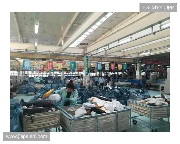 杭州极限运动队成长之路：激情与挑战交织的青春纪实